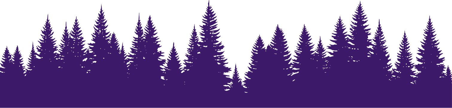 Pine trees silhouette