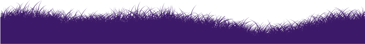 Grass silhouette transition